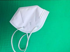 N95 Mask Disposable ( 10 Pcs )